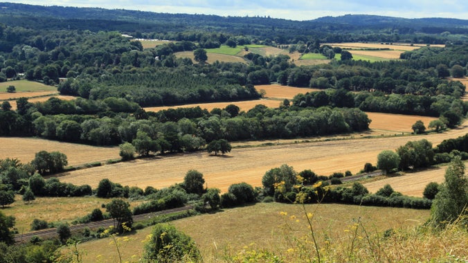 View from Denbies Hillside across a patchwork of fields
